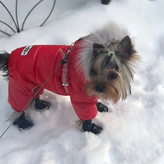 Waterproof Winter Coat for small dogs - Chihuahua, Toy Poodle