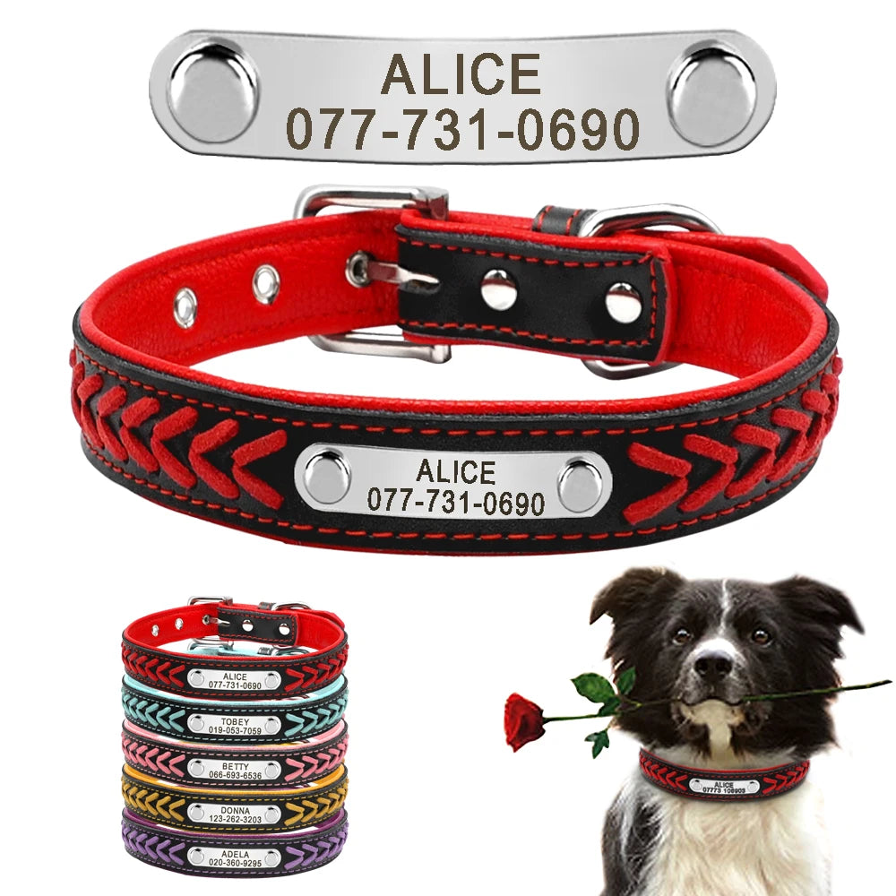 Doggie ID - Custom Leather Dog Collar Personalized Engraved Small to Large