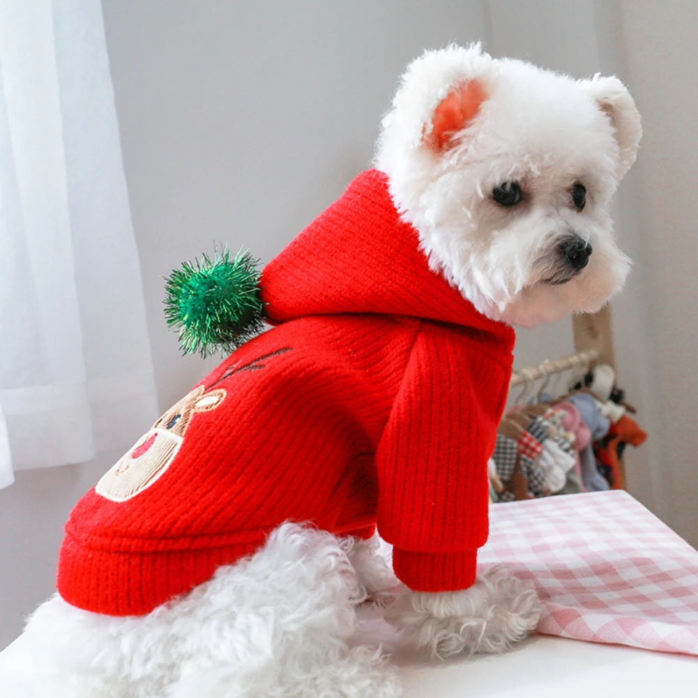 Holiday Fashion for Dog or Cat