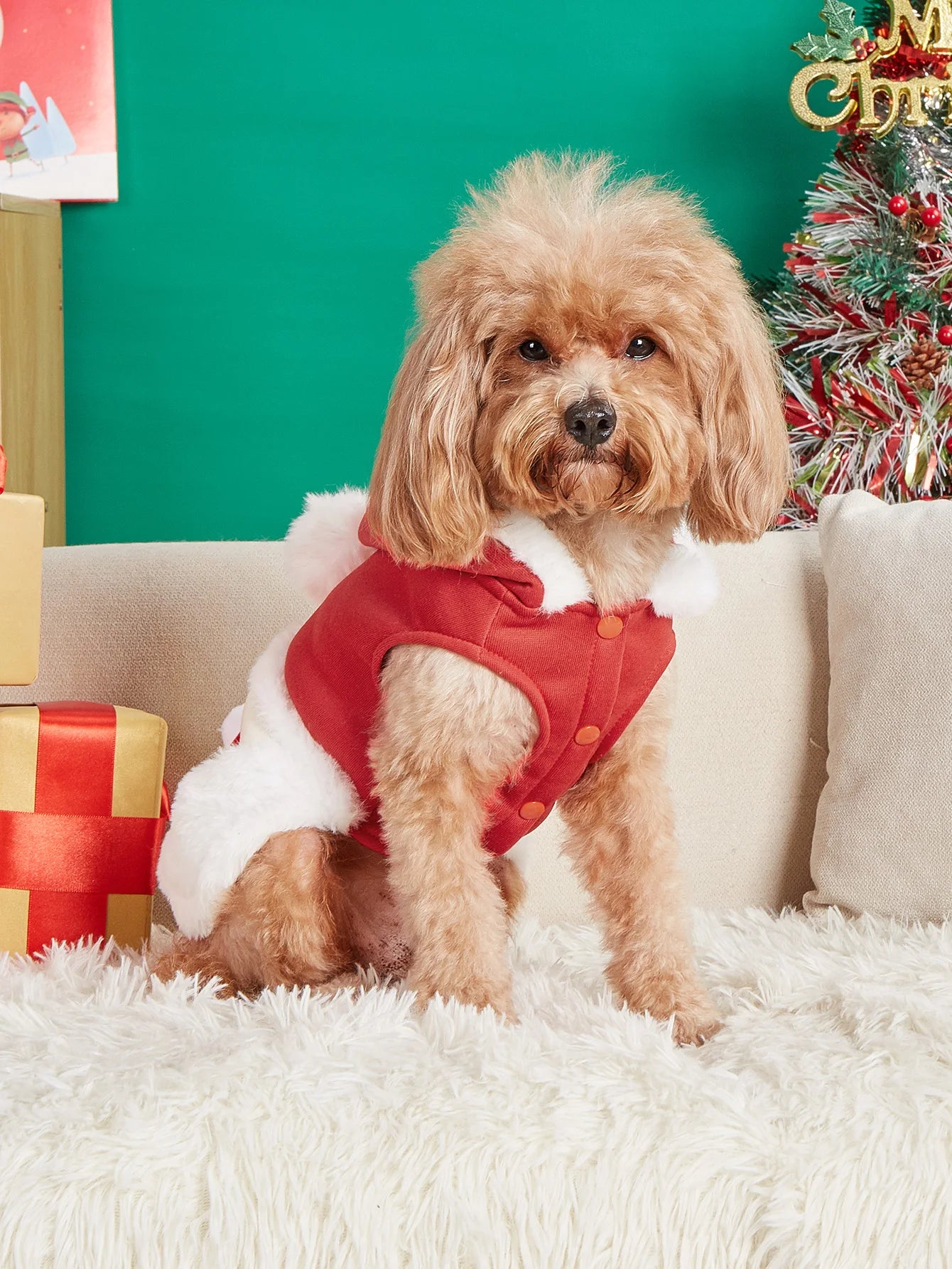 Santa Paws Costume