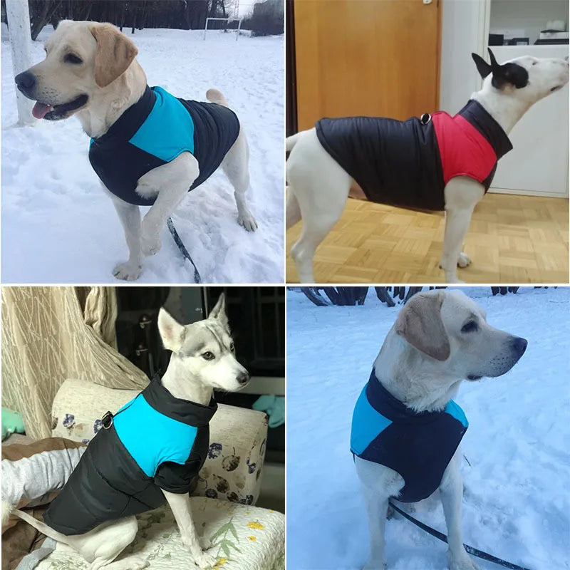 SnugPaws - Waterproof Winter Dog Jacket Vest for Small, Medium, Large, X-Large, 2X-Large, 3X-Large, 4X-Large, 5X-Large for Dogs